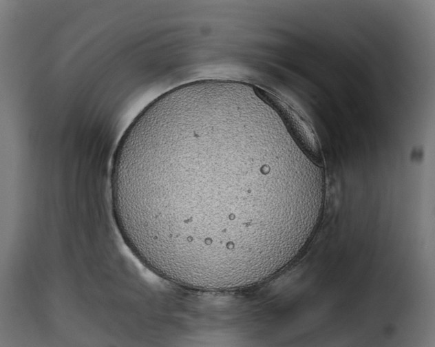 X0000115641103200911241705