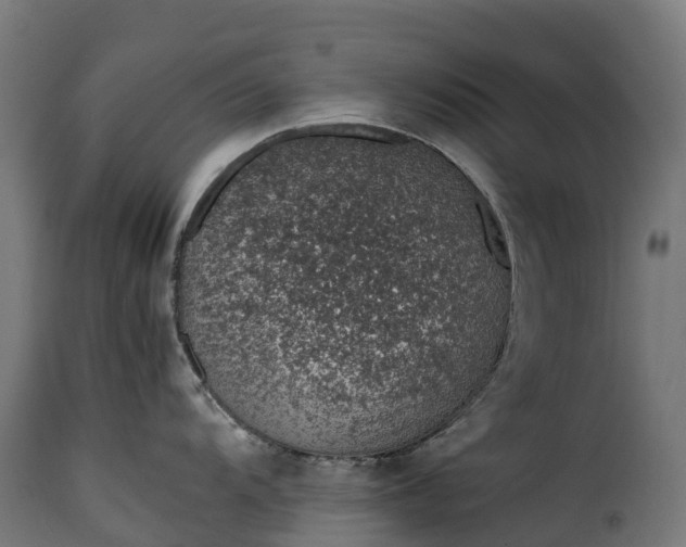 X0000115641104200911241705