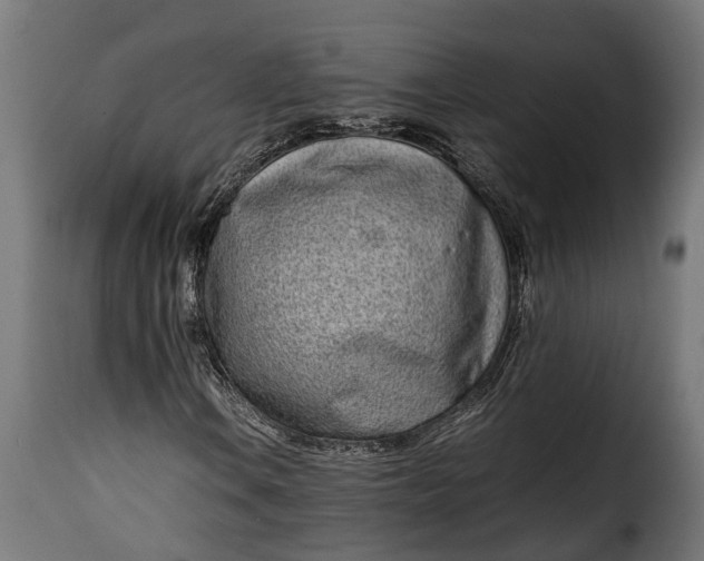 X0000115641106200911241704