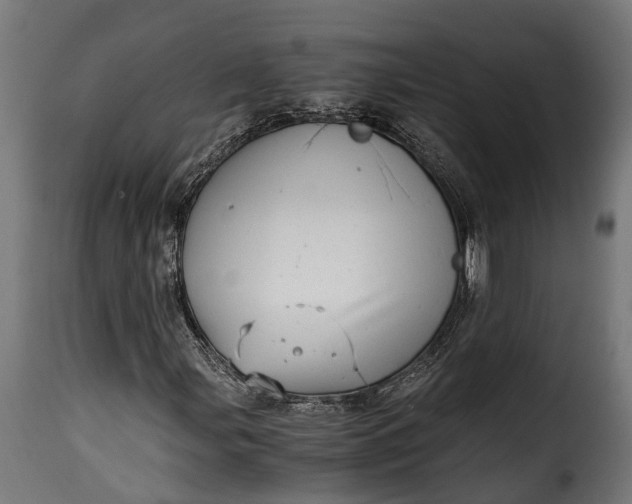 X0000115641107200911241704