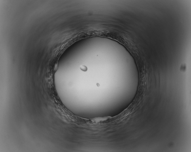 X0000115641109200911241704