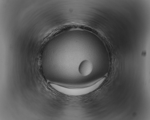 X0000115641110200911241704