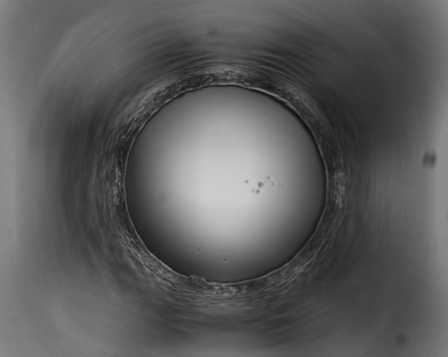 X0000115641111200911241704