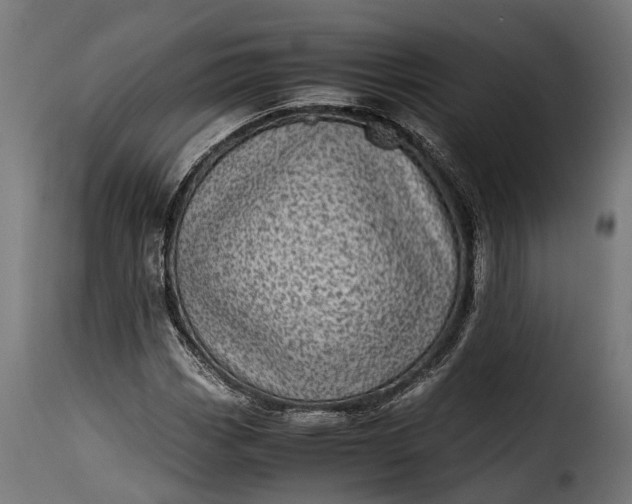 X0000115641113200911241704