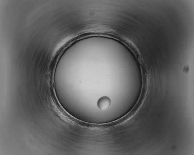 X0000115641114200911241704