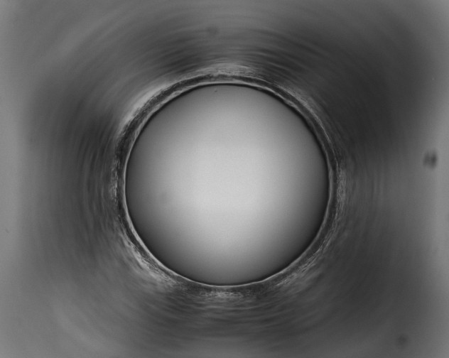 X0000115641115200911241704