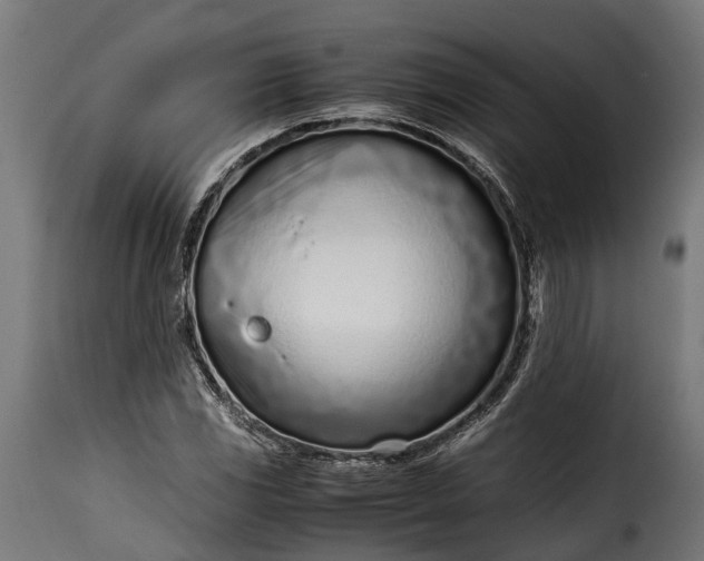 X0000115641117200911241704