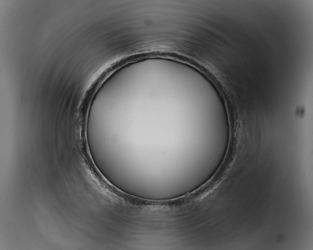 X0000115641118200911241704