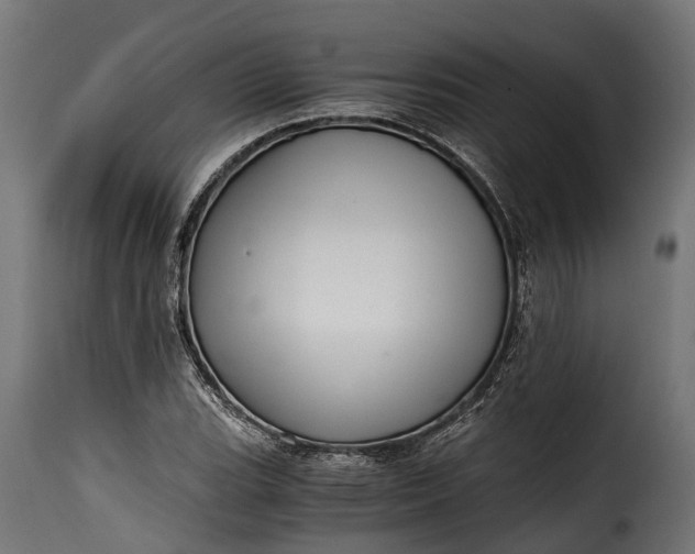 X0000115641119200911241704