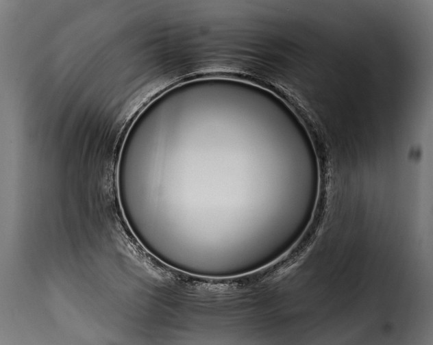 X0000115641121200911241704