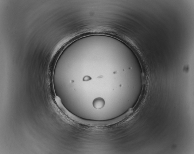 X0000115641122200911241704