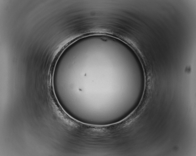 X0000115641125200911241704