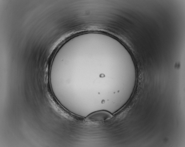 X0000115641126200911241704