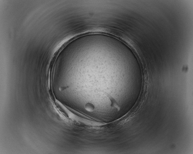 X0000115641127200911241704