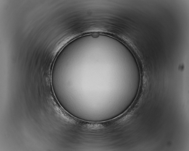 X0000115641129200911241704