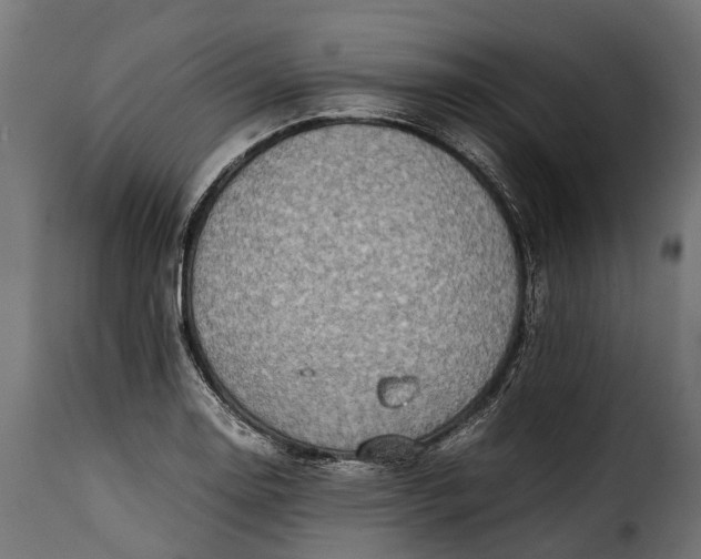 X0000115641130200911241704