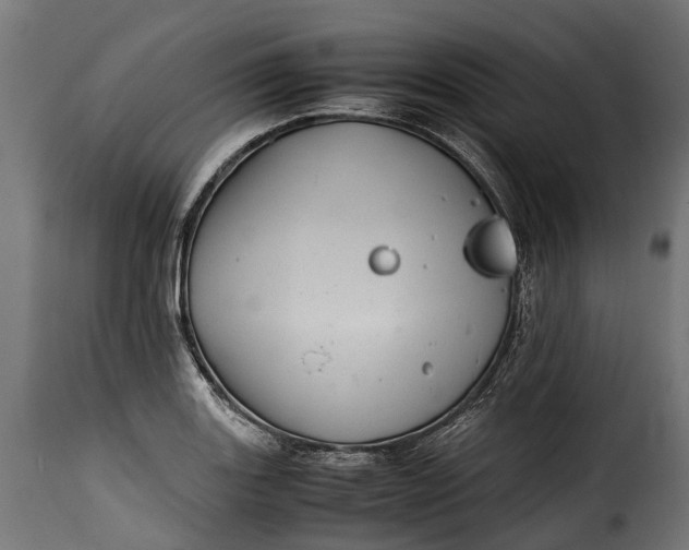 X0000115641131200911241704