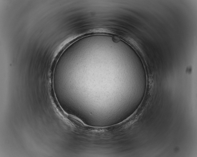 X0000115641133200911241704