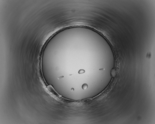 X0000115641134200911241704