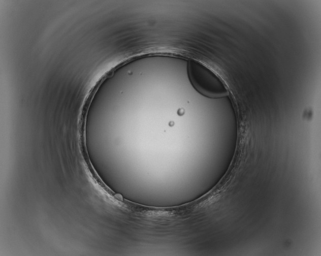 X0000115641135200911241704