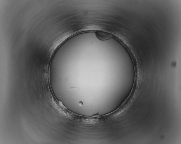 X0000115641137200911241704