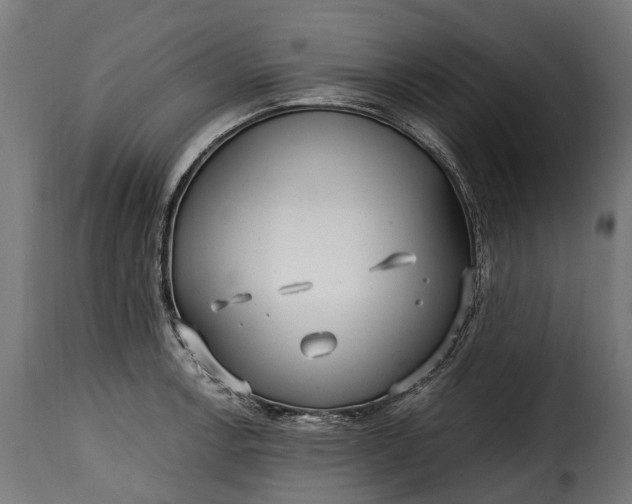 X0000115641138200911241704