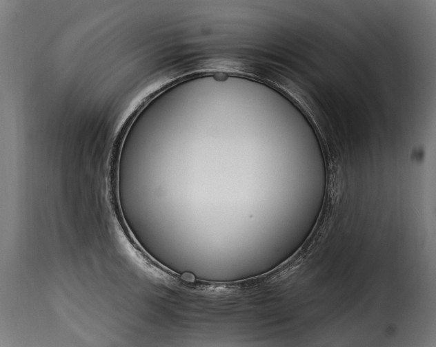 X0000115641139200911241704