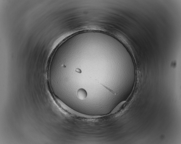 X0000115641141200911241704