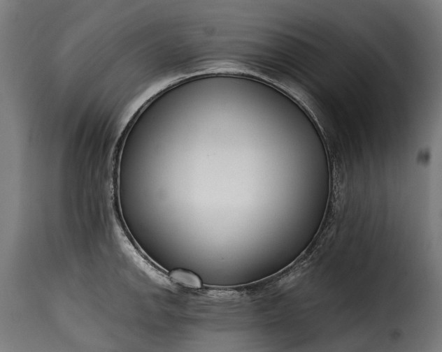 X0000115641142200911241704