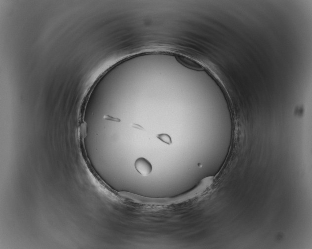 X0000115641143200911241704