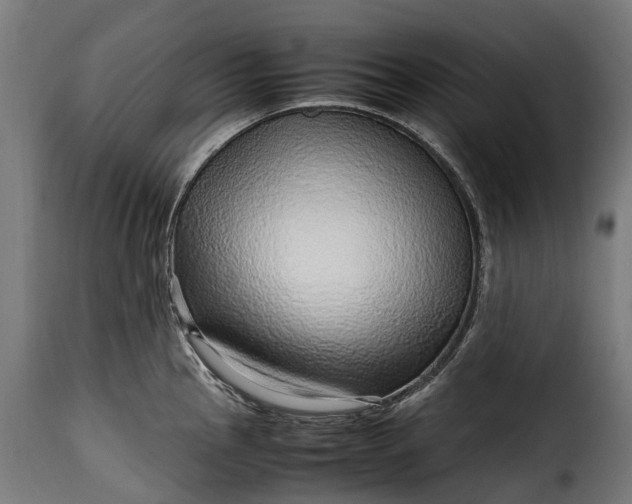 X0000115641145200911241704