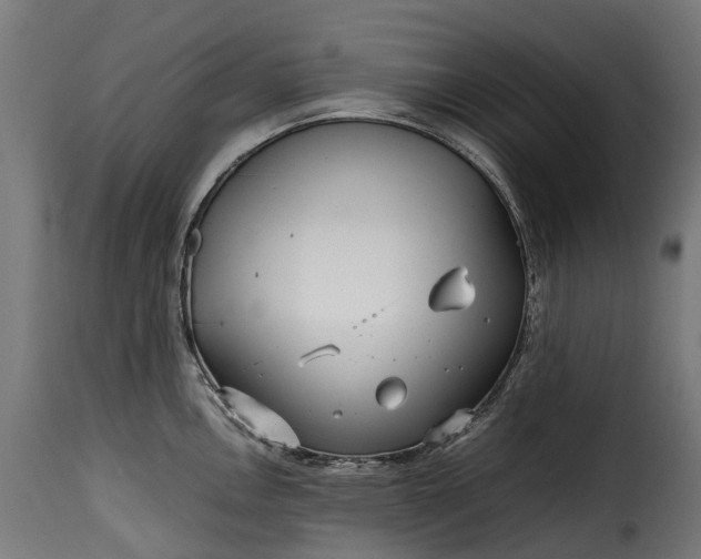 X0000115641146200911241704