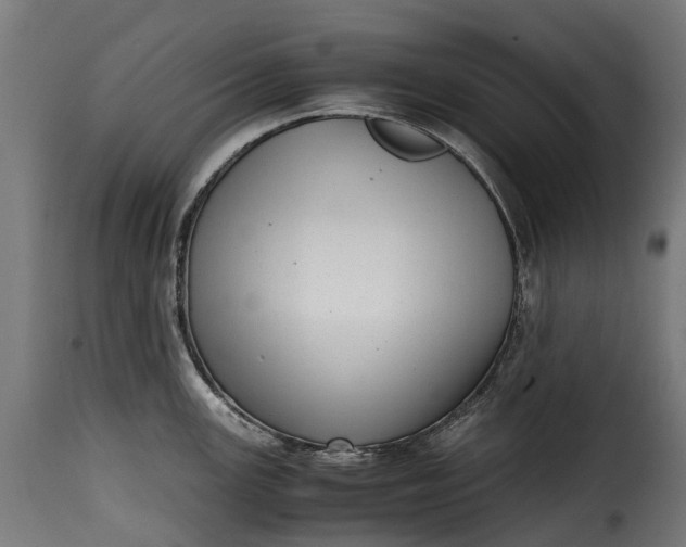 X0000115641147200911241704