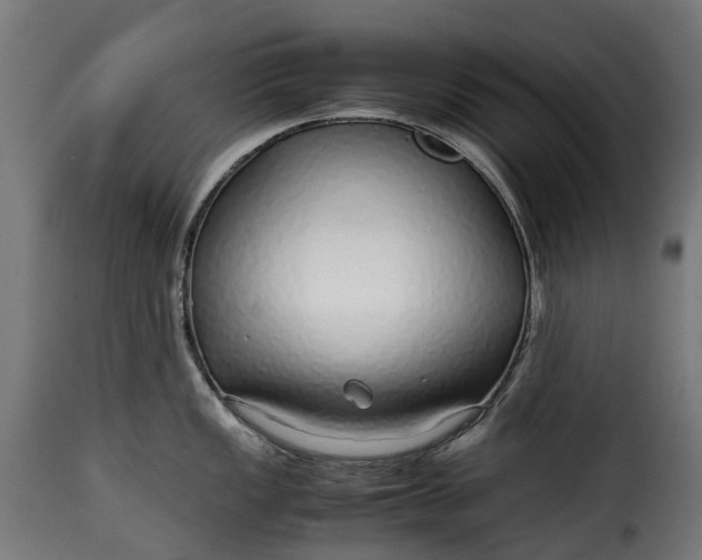 X0000115641149200911241704