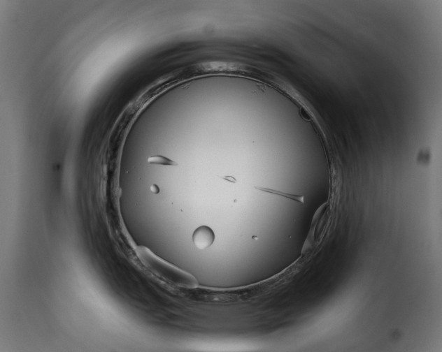 X0000115641151200911241704