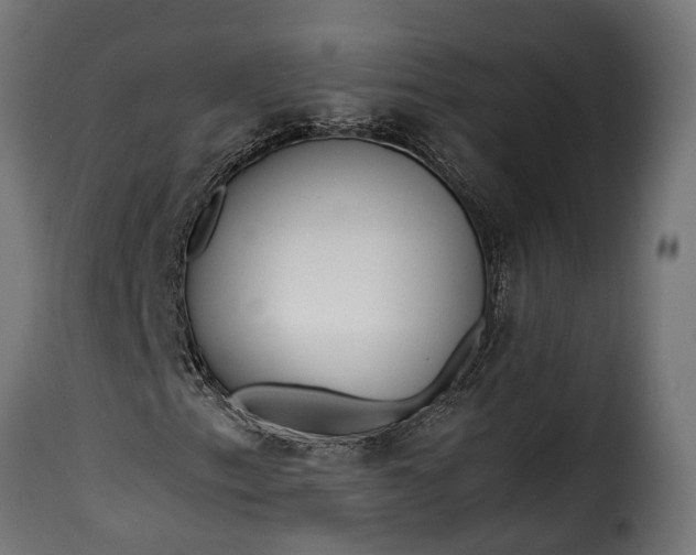 X0000115641153200911241704