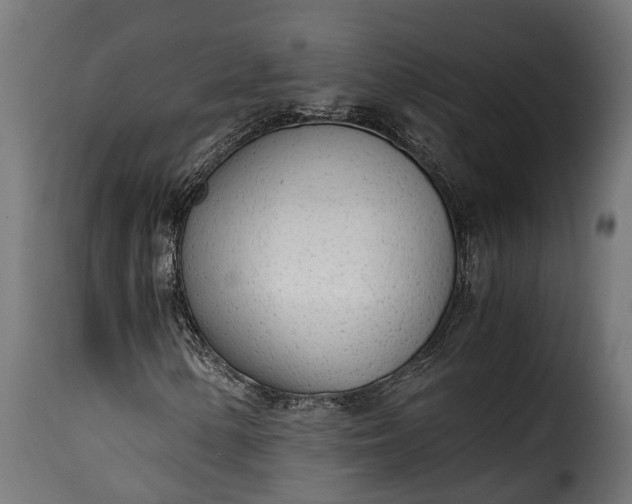 X0000115641154200911241704