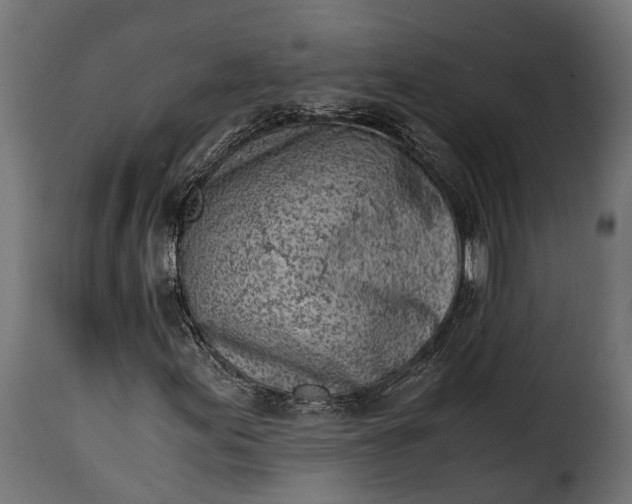 X0000115641155200911241704