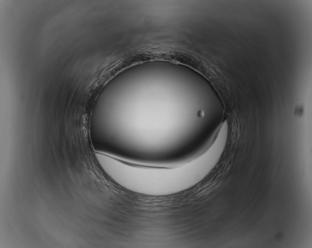 X0000115641156200911241704