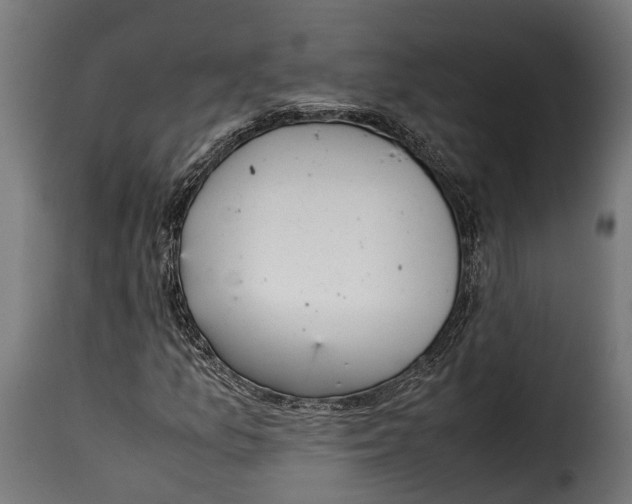 X0000115641157200911241704