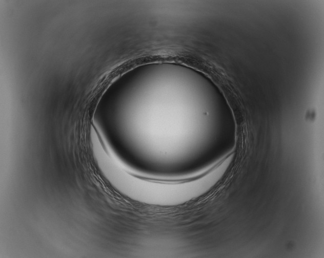 X0000115641158200911241704