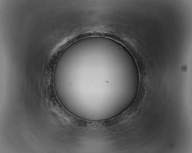 X0000115641159200911241704