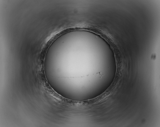 X0000115641160200911241704