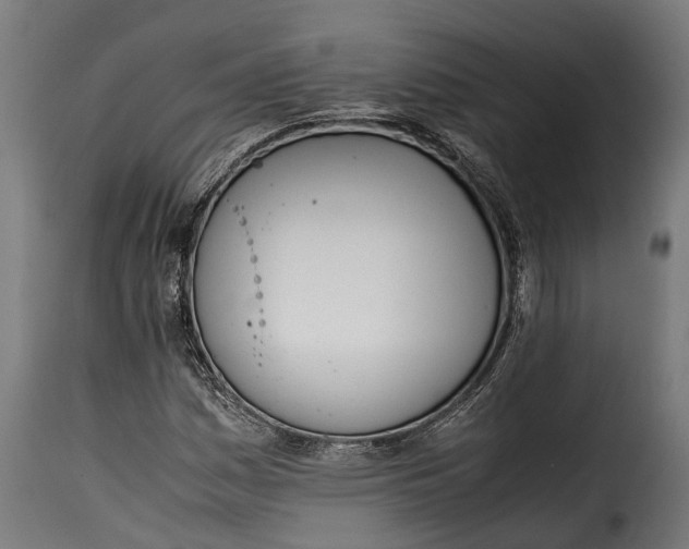 X0000115641161200911241704