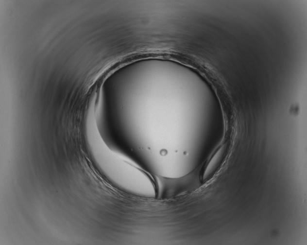 X0000115641162200911241704