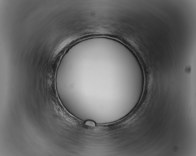 X0000115641163200911241704