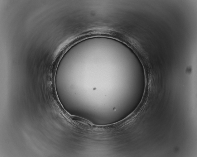 X0000115641164200911241704