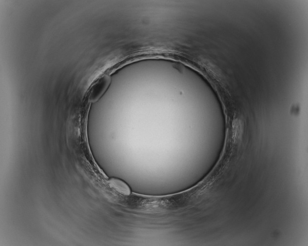 X0000115641165200911241704