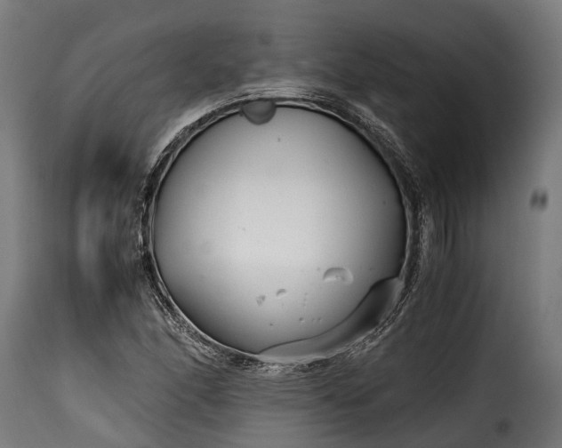 X0000115641166200911241703