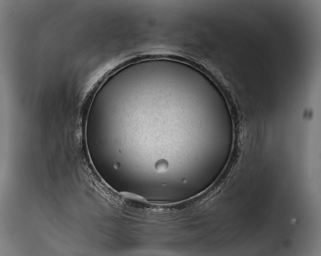 X0000115641167200911241703